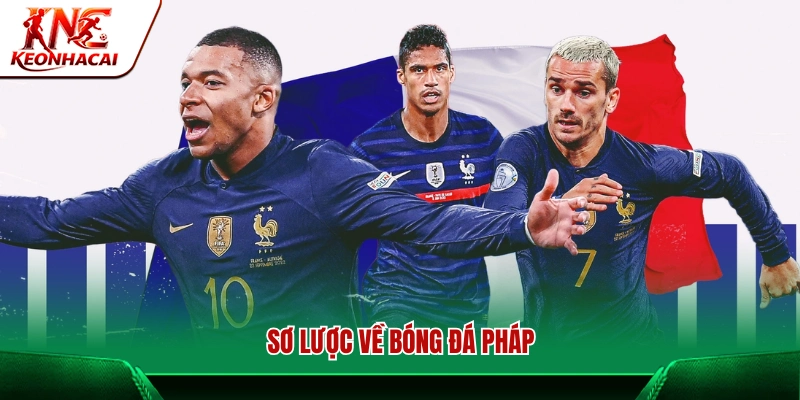 Tổng quan về nền bóng đá Pháp 